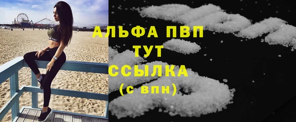 PSILOCYBIN Верея