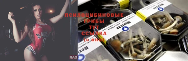 сатива Усмань