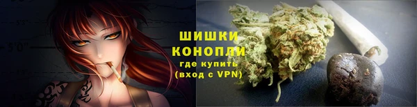 mdpv Вяземский