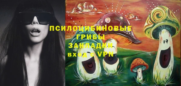 mdpv Вяземский