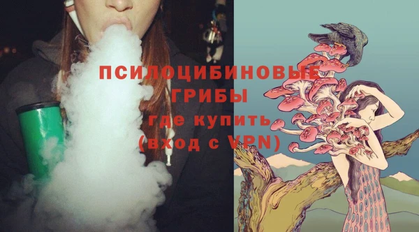 mdpv Вяземский